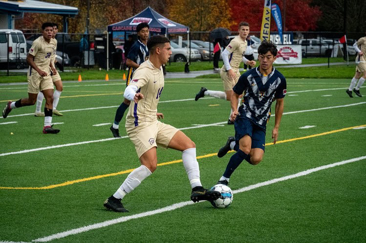 AKC KADDAH INTERNATIONAL visual data 2